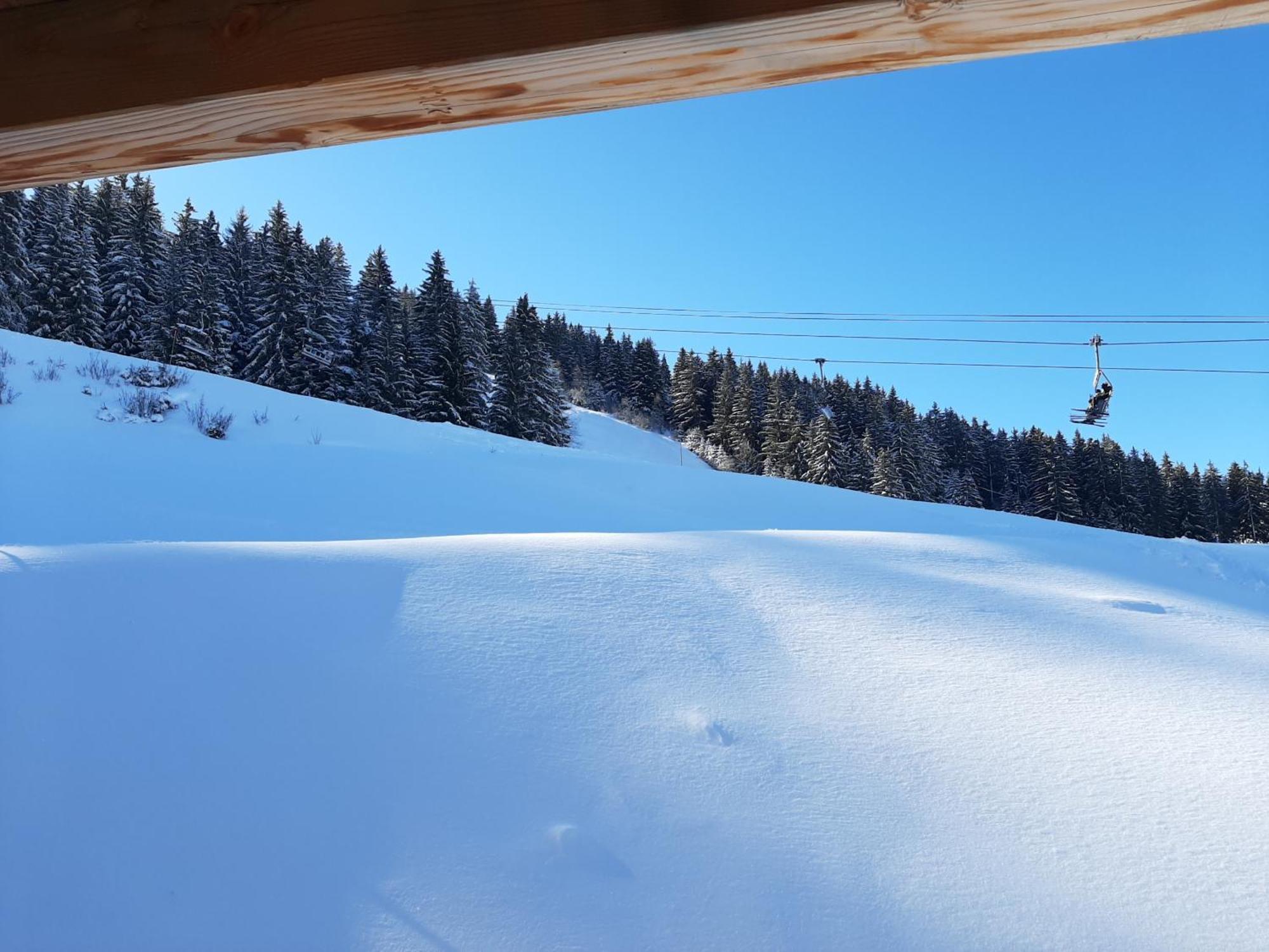 Les 7 Laux Immobilier Chalet F 普拉波特尔 外观 照片